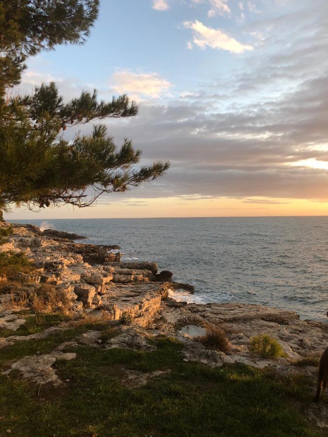 Apartman Mon Amour Pula