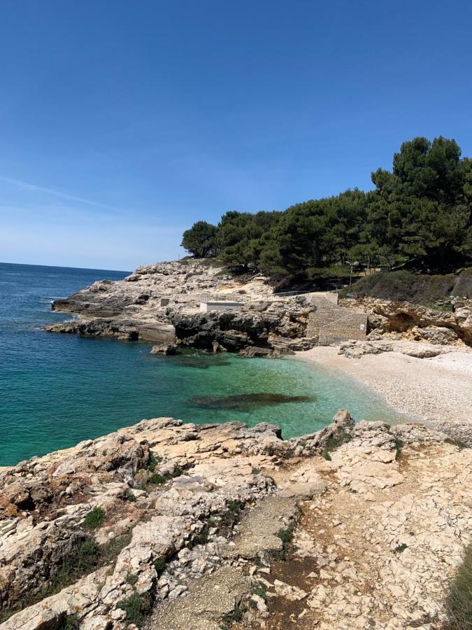 Apartman Mon Amour Pula
